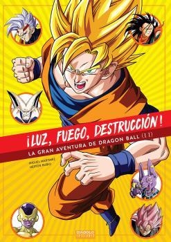 ¡LUZ, FUEGO, DESTRUCCIÓN ! VOL. II | 9788494770012 | R MARTÍNEZ, MIGUEL; RUBIO, NÉSTO | Librería Castillón - Comprar libros online Aragón, Barbastro