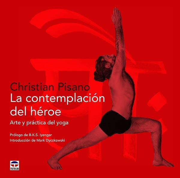 La contemplación del héroe | 9788416676385 | Pisano, Christian | Librería Castillón - Comprar libros online Aragón, Barbastro