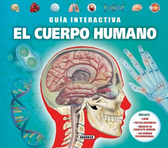 El cuerpo humano | 9788467752915 | De la Bédoyère, Camilla | Librería Castillón - Comprar libros online Aragón, Barbastro