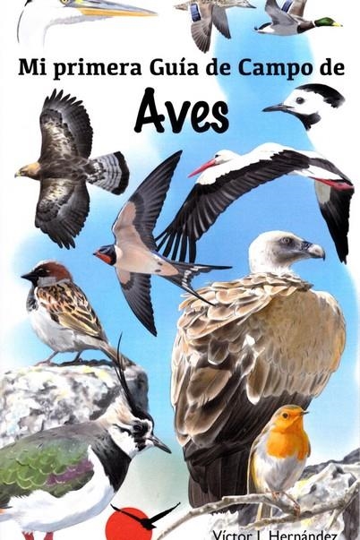 MI PRIMERA GUIA DE CAMPO DE AVES | 9788416702404 | OJEA, ANTONIO | Librería Castillón - Comprar libros online Aragón, Barbastro