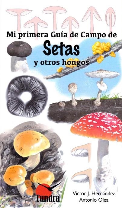 MI PRIMERA GUIA CAMPO DE SETAS Y OTROS HONGOS | 9788416702473 | HERNANDEZ, VICTOR J.; OJEA, ANTONIO | Librería Castillón - Comprar libros online Aragón, Barbastro