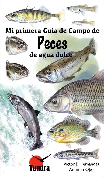 MI PRIMERA GUIA DE CAMPO DE PECES DE AGUA DULCE | 9788416702480 | OJEA, ANTONIO | Librería Castillón - Comprar libros online Aragón, Barbastro