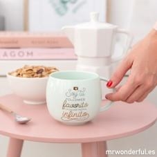 TAZA SOY TU FOLLOWER FAVORITO Y TE SEGUIRE HASTA EL INFINITO- MR WONDERFUL | 8435460728881 | MR WONDERFUL | Librería Castillón - Comprar libros online Aragón, Barbastro