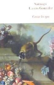 Cerrar los ojos | 9788494580796 | Casero González, Santiago | Librería Castillón - Comprar libros online Aragón, Barbastro