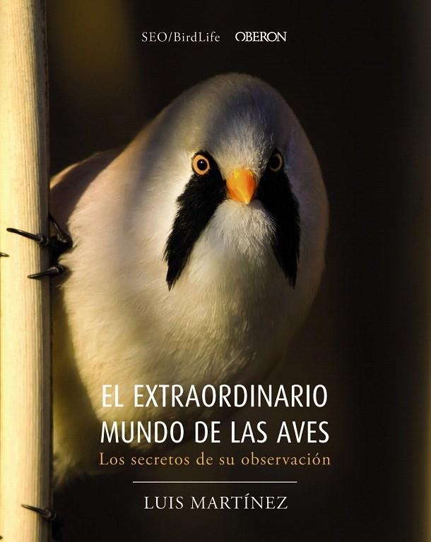 El extraordinario mundo de las aves. Los secretos de su observación | 9788441540330 | Sociedad Española de Ornitología | Librería Castillón - Comprar libros online Aragón, Barbastro