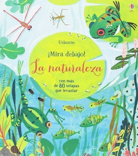 La naturaleza | 9781474949859 | Lacey Minna | Librería Castillón - Comprar libros online Aragón, Barbastro