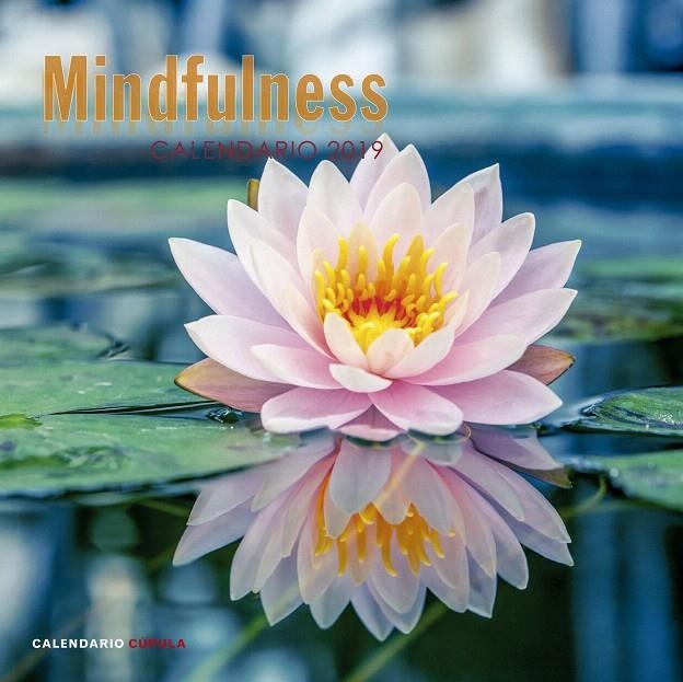 Calendario Mindfulness 2019 | 9788448024598 | Librería Castillón - Comprar libros online Aragón, Barbastro