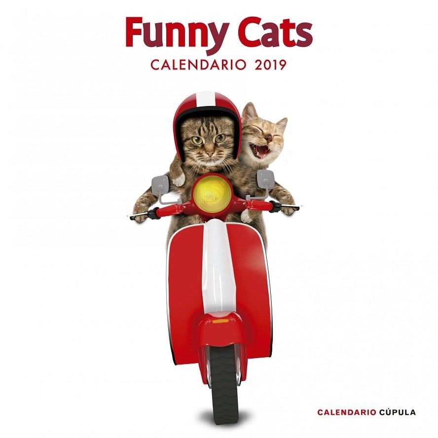 Calendario Funny Cats 2019 | 9788448024628 | AA. VV. | Librería Castillón - Comprar libros online Aragón, Barbastro