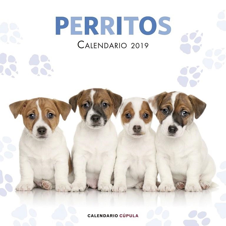 Calendario Perritos 2019 | 9788448024642 | AA. VV. | Librería Castillón - Comprar libros online Aragón, Barbastro