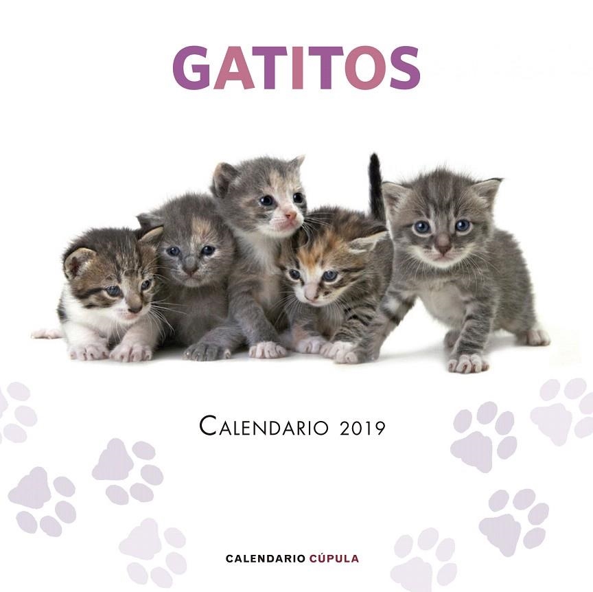 Calendario Gatitos 2019 | 9788448024659 | AA. VV. | Librería Castillón - Comprar libros online Aragón, Barbastro