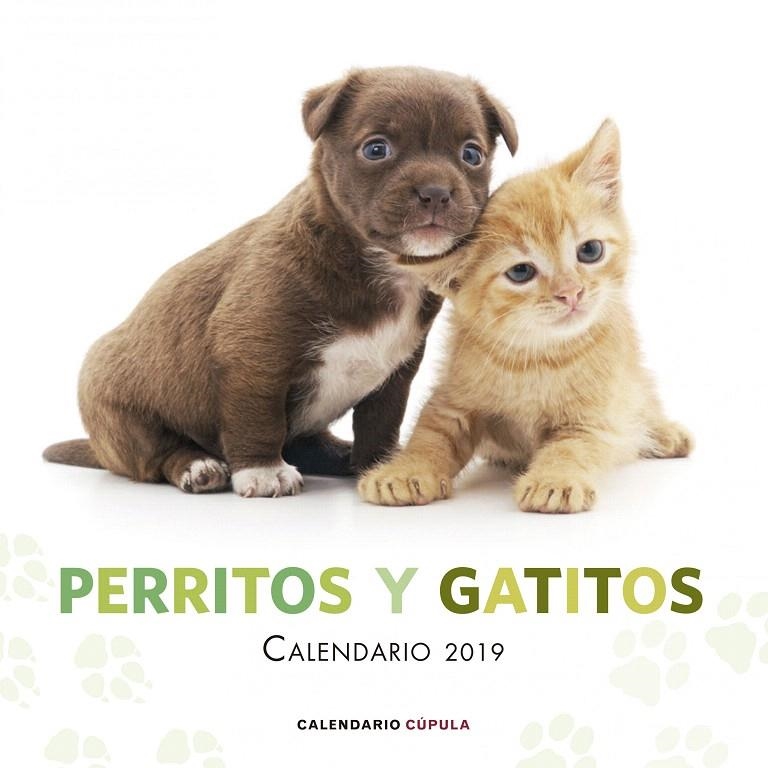 Calendario Perritos y gatitos 2019 | 9788448024666 | AA. VV. | Librería Castillón - Comprar libros online Aragón, Barbastro