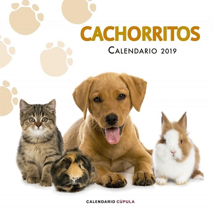 Calendario Cachorritos 2019 | 9788448024673 | AA. VV. | Librería Castillón - Comprar libros online Aragón, Barbastro