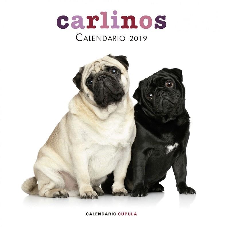 Calendario Carlinos 2019 | 9788448024680 | AA. VV. | Librería Castillón - Comprar libros online Aragón, Barbastro