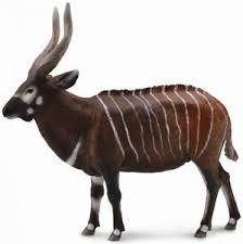 FIGURA ANTILOPE BONGO | 4892900888095 | Librería Castillón - Comprar libros online Aragón, Barbastro