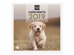 CALENDARIO 2019 DE PARED PARA ESCRIBIR - CACHORROS CARIÑOSOS | 8422952173892 | Librería Castillón - Comprar libros online Aragón, Barbastro