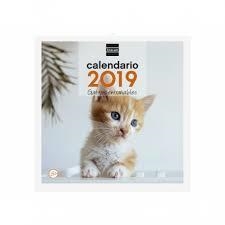 CALENDARIO 2019 DE PARED PARA ESCRIBIR - GATITOS ENTRAÑABLES | 8422952173878 | Librería Castillón - Comprar libros online Aragón, Barbastro