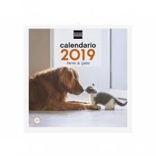 CALENDARIO 2019 DE PARED PARA ESCRIBIR - PERROS & GATOS | 8422952173823 | Librería Castillón - Comprar libros online Aragón, Barbastro