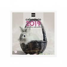 CALENDARIO 2019 DE PARED PARA ESCRIBIR - MASCOTAS ADORABLES | 8422952173854 | Librería Castillón - Comprar libros online Aragón, Barbastro