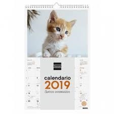 CALENDARIO 2019 DE PARED ESPIRAL PARA ESCRIBIR - GATITOS ENTRAÑABLES | 8422952173571 | Librería Castillón - Comprar libros online Aragón, Barbastro