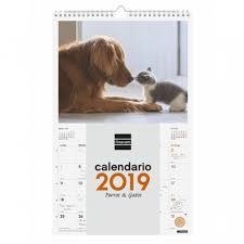 CALENDARIO 2019 DE PARED ESPIRAL PARA ESCRIBIR - PERROS Y GATOS | 8422952173526 | Librería Castillón - Comprar libros online Aragón, Barbastro