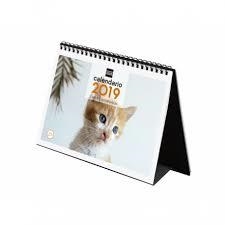 CALENDARIO 2019 SOBREMESA - GATITOS ENTRAÑABLES | 8422952173731 | Librería Castillón - Comprar libros online Aragón, Barbastro