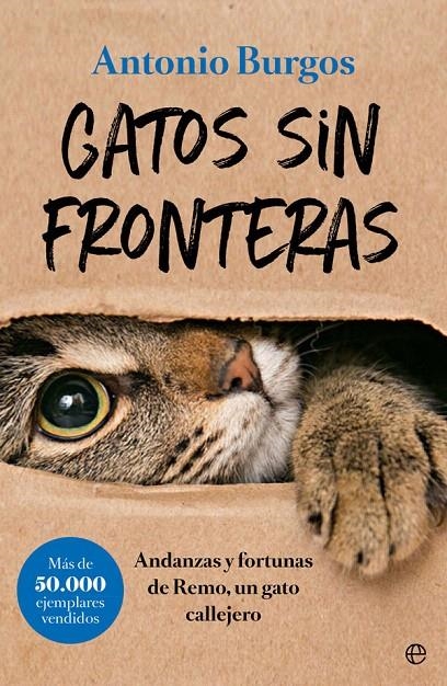 Gatos sin fronteras | 9788491644248 | Burgos, Antonio | Librería Castillón - Comprar libros online Aragón, Barbastro