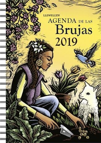 Agenda 2019 de las brujas | 9788491113652 | LLEWELLYN | Librería Castillón - Comprar libros online Aragón, Barbastro