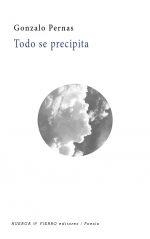 TODO SE PRECIPITA | 9788494868740 | PERNAS, GONZALO | Librería Castillón - Comprar libros online Aragón, Barbastro