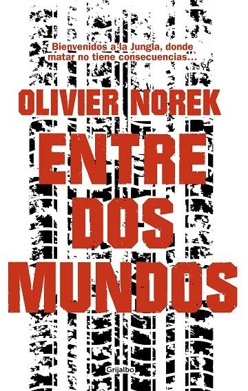 Entre dos mundos | 9788425357015 | Norek, Olivier | Librería Castillón - Comprar libros online Aragón, Barbastro