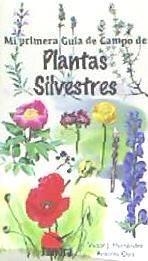 MI PRIMERA GUIA CAMPO PLANTAS SILVESTRES | 9788416702466 | HERNANDEZ, VICTOR J.; OJEA, ANTONIO | Librería Castillón - Comprar libros online Aragón, Barbastro