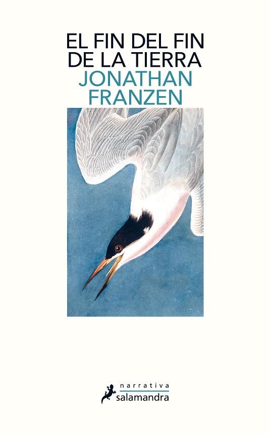 El fin del fin de la tierra | 9788498389340 | Jonathan Franzen | Librería Castillón - Comprar libros online Aragón, Barbastro