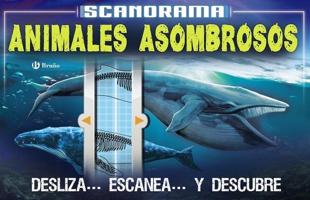 Scanorama. Animales asombrosos | 9788469623657 | Claybourne, Anna | Librería Castillón - Comprar libros online Aragón, Barbastro