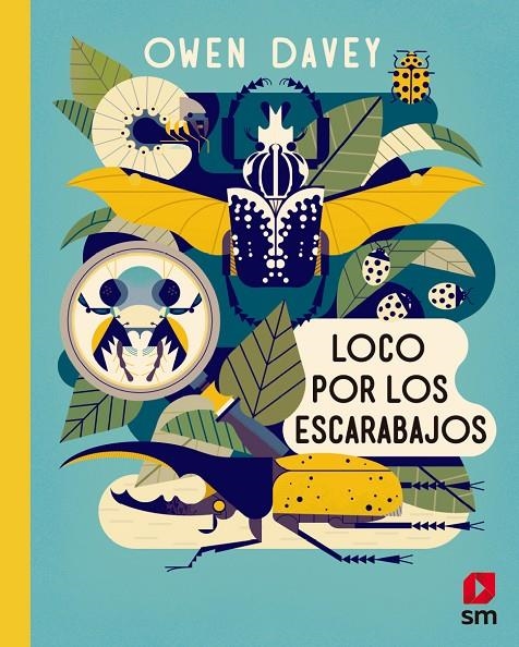 LOCO POR LOS ESCARABAJOS | 9788491820635 | Davey, Owen | Librería Castillón - Comprar libros online Aragón, Barbastro