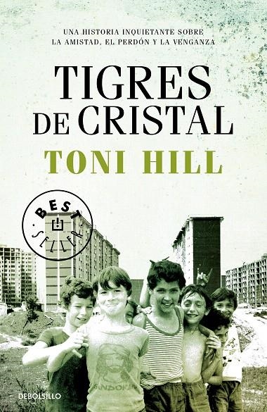 Tigres de cristal | 9788466347204 | Toni Hill | Librería Castillón - Comprar libros online Aragón, Barbastro