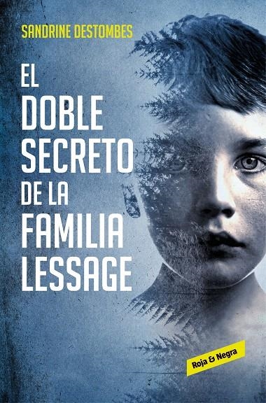 El doble secreto de la familia Lessage | 9788417511494 | Sandrine Destombes | Librería Castillón - Comprar libros online Aragón, Barbastro