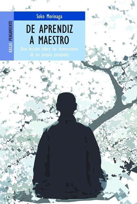 DE APRENDIZ A MAESTRO : UNA LECCION SOBRE LAS DIMENSIONES DE | 9788493449179 | MORINAGA, SOKO | Librería Castillón - Comprar libros online Aragón, Barbastro