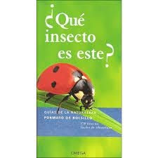 ¿QUE INSECTO ES ESTE? | 9788428217057 | BELLMANN, HEIKO | Librería Castillón - Comprar libros online Aragón, Barbastro