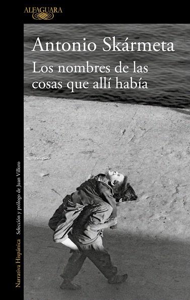 Los nombres de las cosas que allí había | 9788420435947 | Antonio Skármeta | Librería Castillón - Comprar libros online Aragón, Barbastro