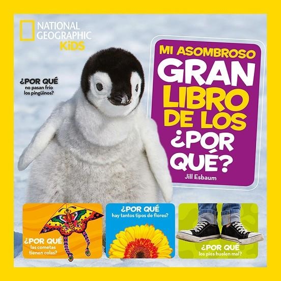 Mi asombroso gran libro de los por qué | 9788482987217 | ESBAUM, JILL | Librería Castillón - Comprar libros online Aragón, Barbastro