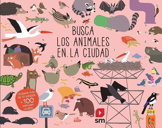 BUSCA LOS ANIMALES EN LA CIUDAD | 9788491829621 | Sarbacane,  Ediciones | Librería Castillón - Comprar libros online Aragón, Barbastro