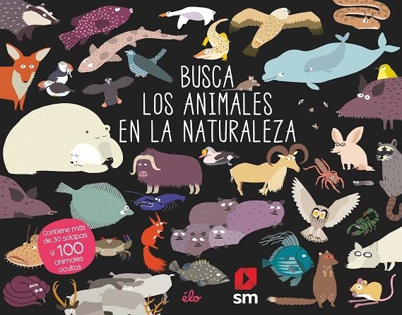 BUSCA LOS ANIMALES EN LA NATURALEZA | 9788491829614 | Sarbacane,  Ediciones | Librería Castillón - Comprar libros online Aragón, Barbastro