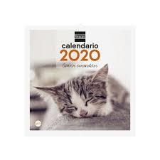 CALENDARIO FINOCAM 2020 GATITOS ENTRAÑABLES | 8422952191070 | Librería Castillón - Comprar libros online Aragón, Barbastro