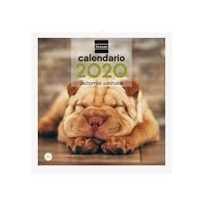 CALENDARIO FINOCAM 2020 CACHORROS CARIÑOSOS 780303720 | 8422952191087 | Librería Castillón - Comprar libros online Aragón, Barbastro