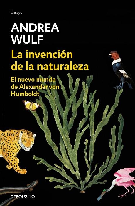 La invención de la naturaleza | 9788466346108 | Andrea Wulf | Librería Castillón - Comprar libros online Aragón, Barbastro