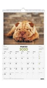 CALENDARIO PARED FINOCAM 2020 25x40 CACHORROS CARIÑOSOS 780553720 | 8422952190813 | Librería Castillón - Comprar libros online Aragón, Barbastro