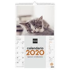 CALENDARIO PARED FINOCAM 2020 25x40 GATITOS ENTRAÑABLES 780553820 | 8422952190806 | Librería Castillón - Comprar libros online Aragón, Barbastro