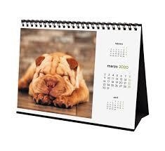 CALENDARIO SOBREMESA FINOCAM 2020 CACHORROS CARIÑOSOS 780323720 | 8422952190936 | Librería Castillón - Comprar libros online Aragón, Barbastro