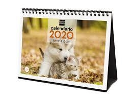 CALENDARIO SOBREMESA FINOCAM 2020 PERROS & GATOS 780323920 | 8422952190912 | Librería Castillón - Comprar libros online Aragón, Barbastro