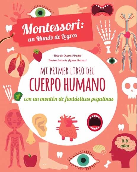 MI PRIMER LIBRO DEL CUERPO HUMANO (VVKIDS) | 9788468250595 | Piroddi, Chiara | Librería Castillón - Comprar libros online Aragón, Barbastro