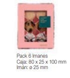 PACK 6 IMANES MIQUELRIUS ANIMAL PRINT 17665 | 8422593176658 | Librería Castillón - Comprar libros online Aragón, Barbastro